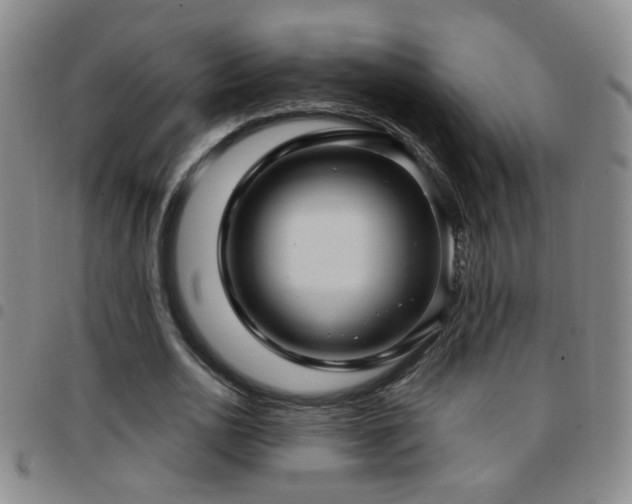 X0000097890726200803141332