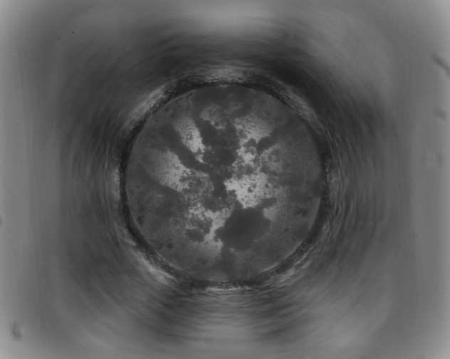 X0000097890729200803141332