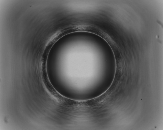 X0000097890730200803141332