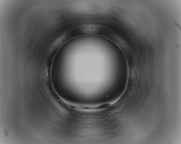 X0000097890733200803141332