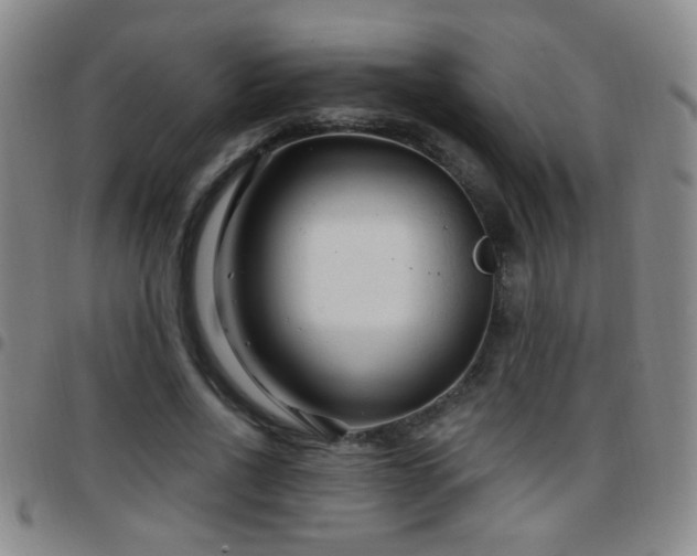 X0000097890734200803141332