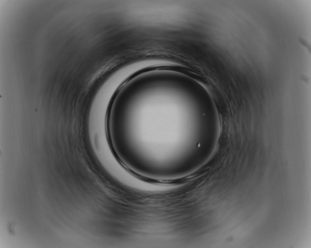 X0000097890735200803141332