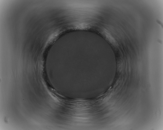 X0000097890736200803141332