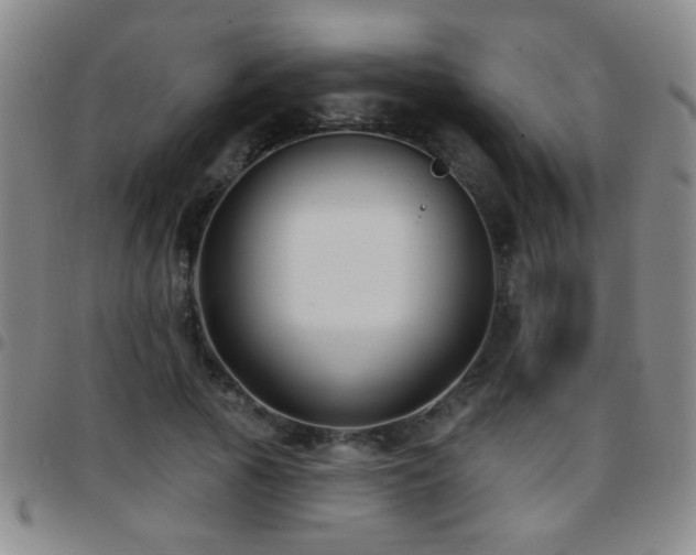 X0000097890737200803141332