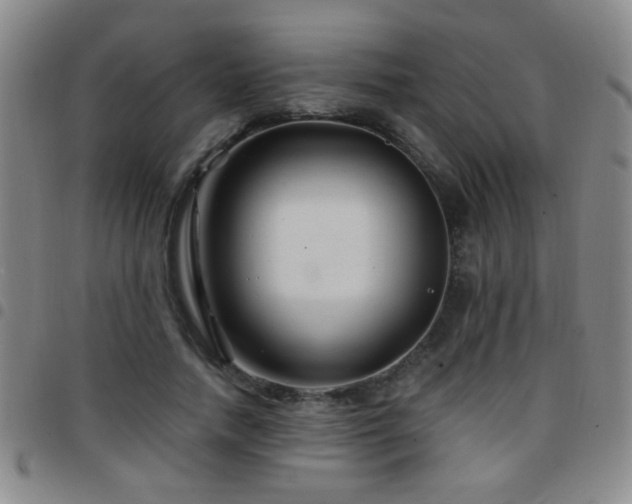 X0000097890738200803141332
