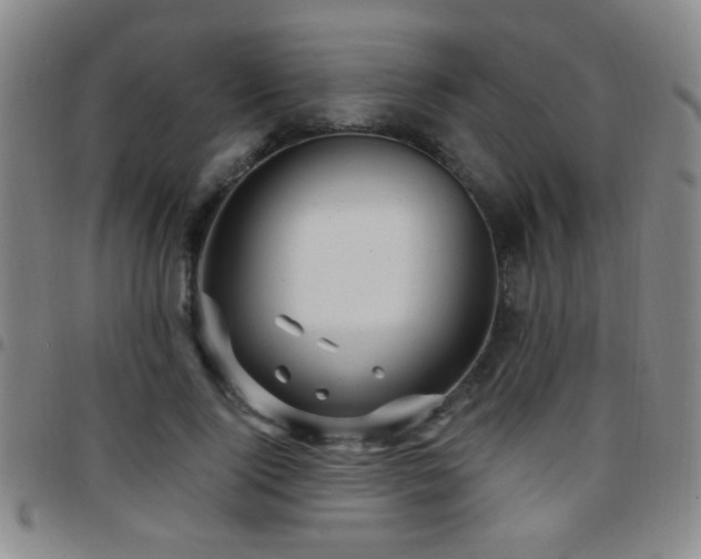 X0000097890740200803141332