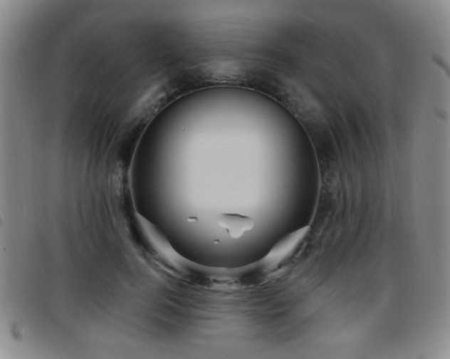 X0000097890744200803141332
