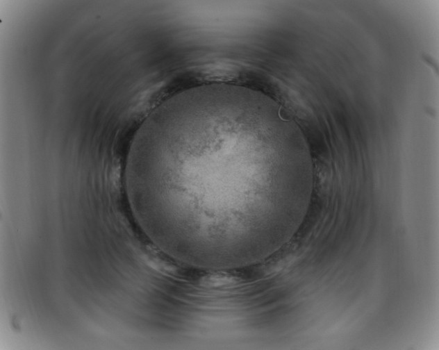 X0000097890745200803141332
