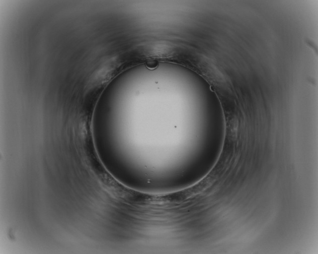 X0000097890746200803141332