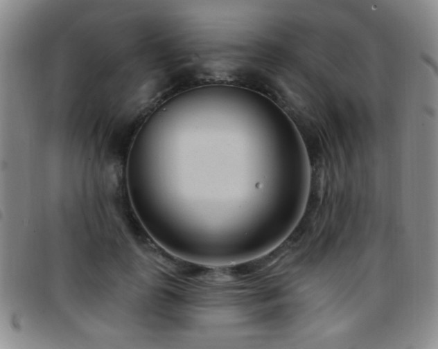 X0000097890747200803141332