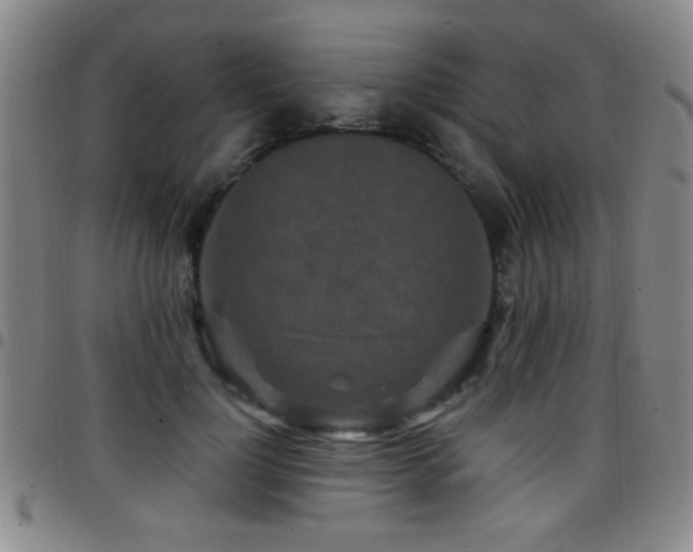 X0000097890748200803141332