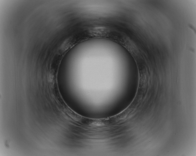 X0000097890749200803141332