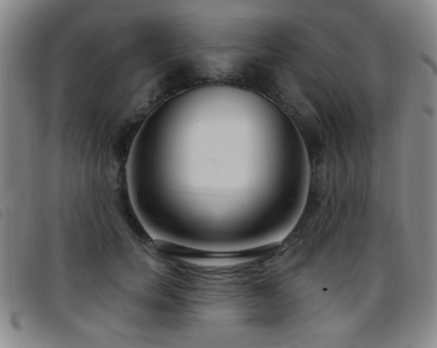 X0000097890750200803141332