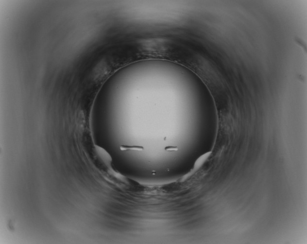X0000097890752200803141332