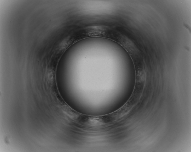 X0000097890753200803141332