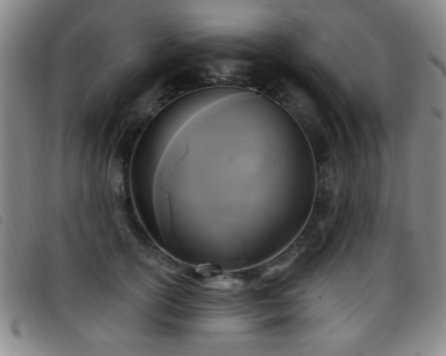 X0000097890754200803141332