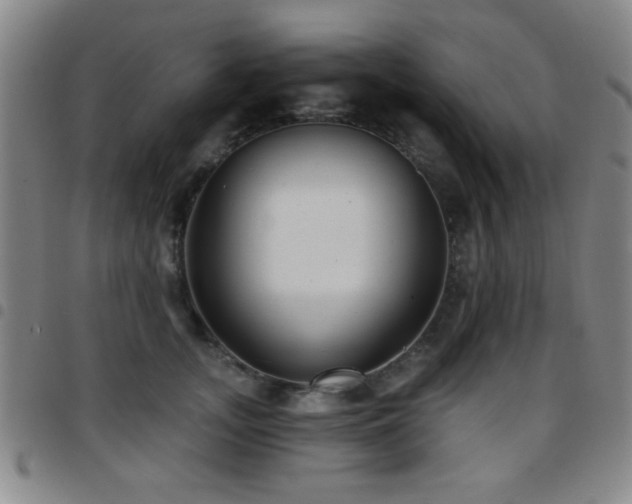 X0000097890755200803141332