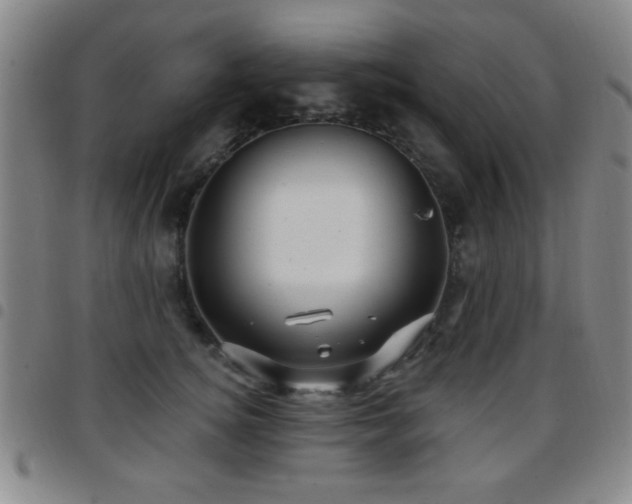 X0000097890756200803141332