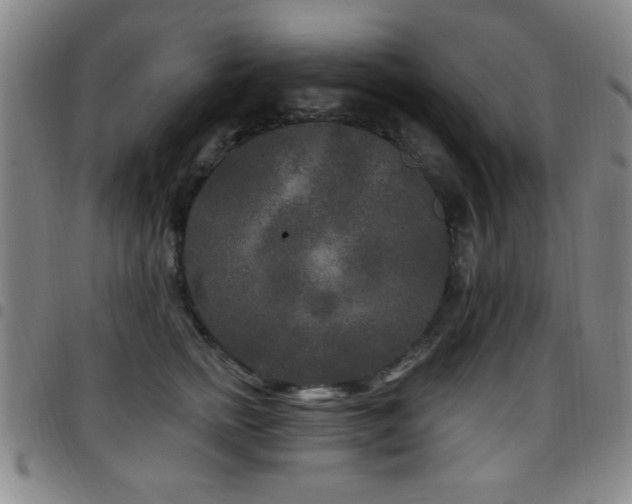 X0000097890758200803141333