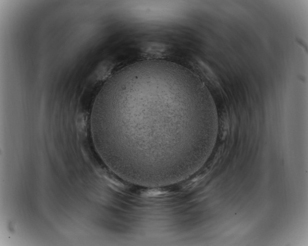 X0000097890759200803141333