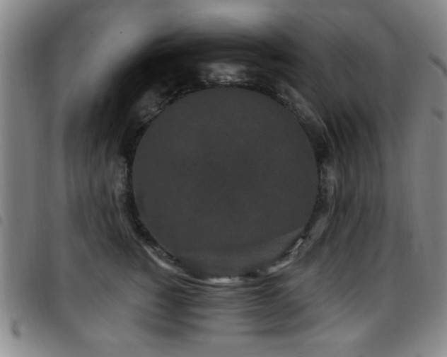 X0000097890760200803141333