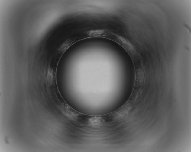 X0000097890761200803141333