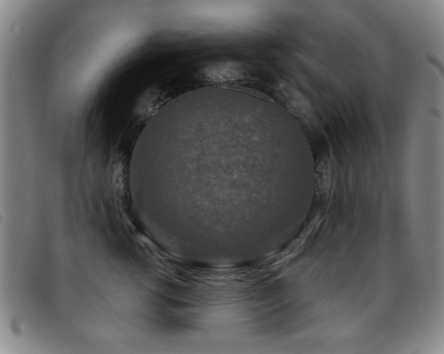 X0000097890762200803141333