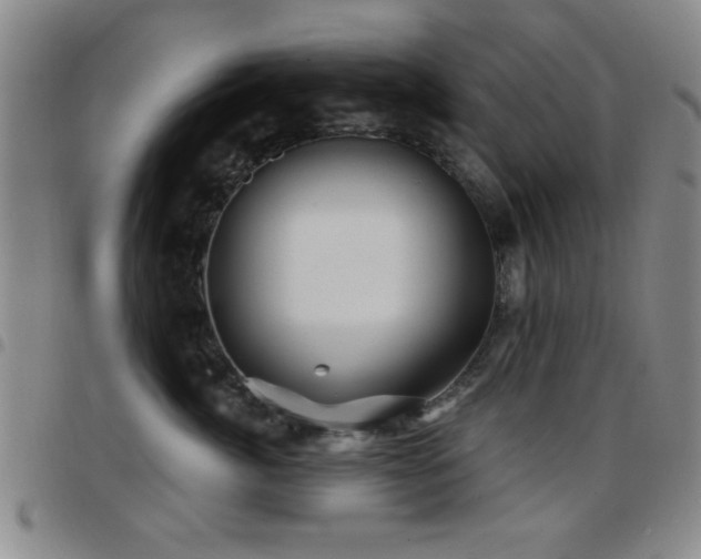 X0000097890764200803141333