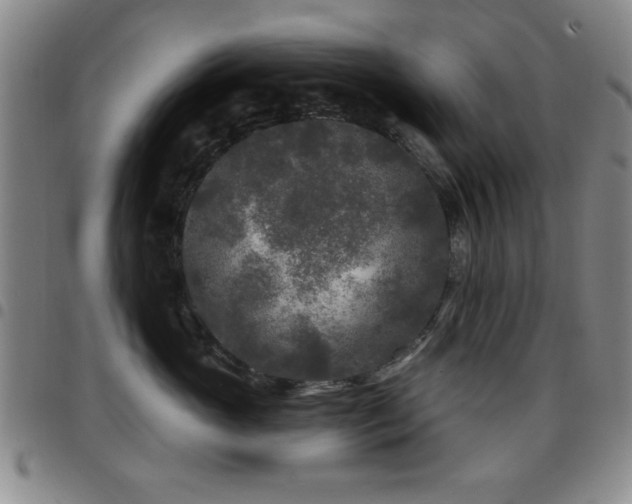 X0000097890765200803141333