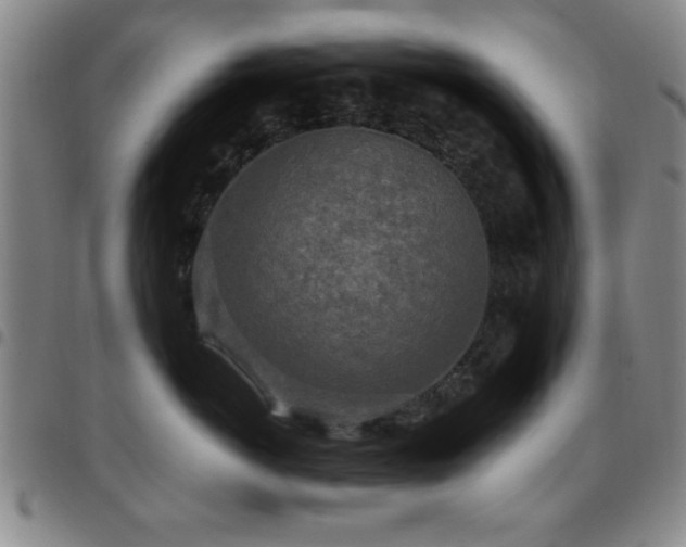 X0000097890766200803141333
