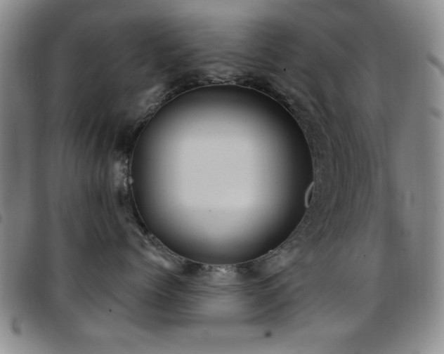 X0000097890768200803141333