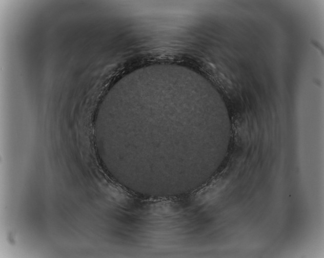 X0000097890769200803141332