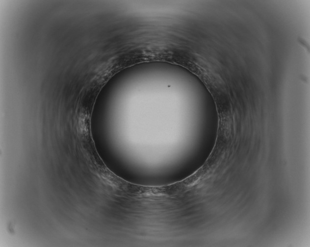 X0000097890770200803141332