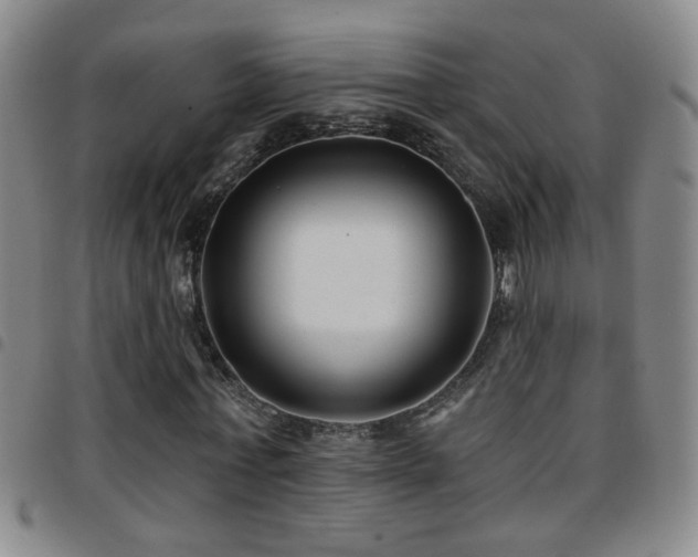 X0000097890771200803141332