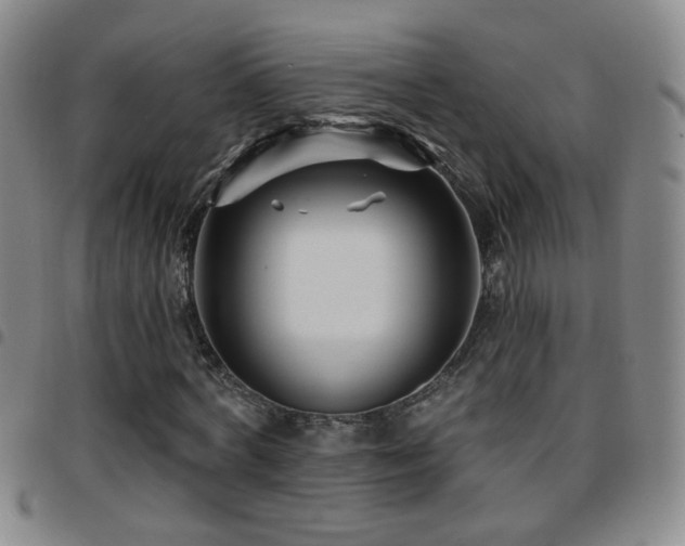 X0000097890772200803141332