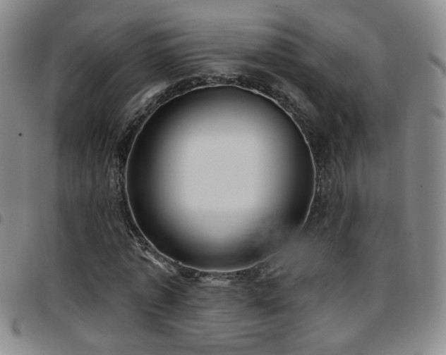 X0000097890773200803141332