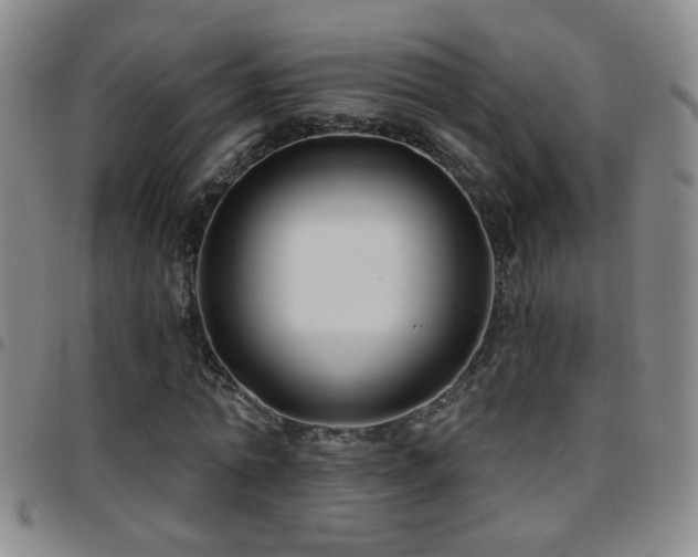 X0000097890774200803141332