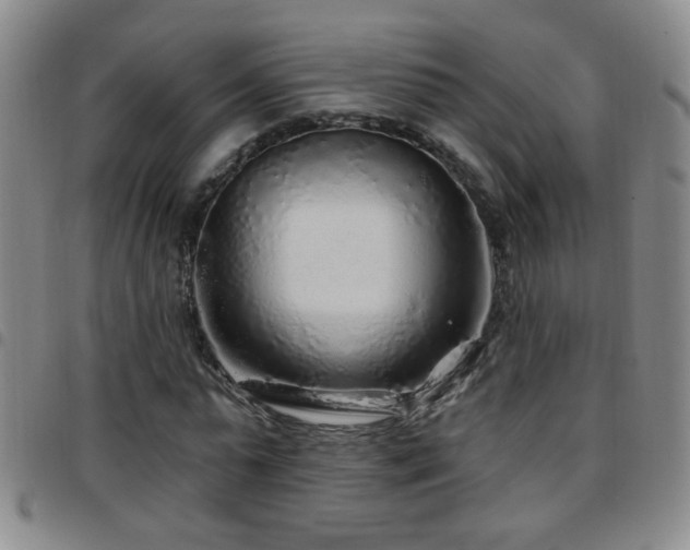 X0000097890775200803141332