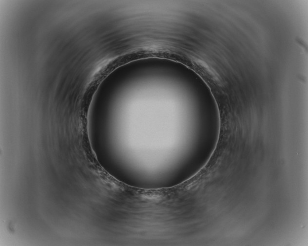 X0000097890776200803141332