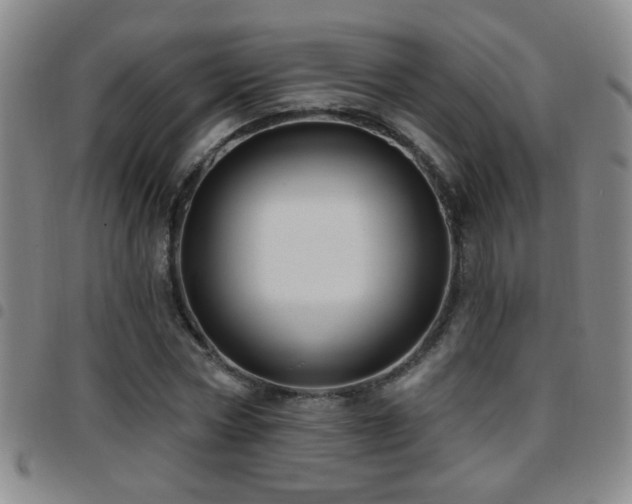 X0000097890778200803141332