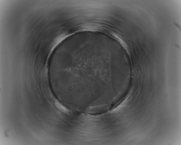 X0000097890779200803141332