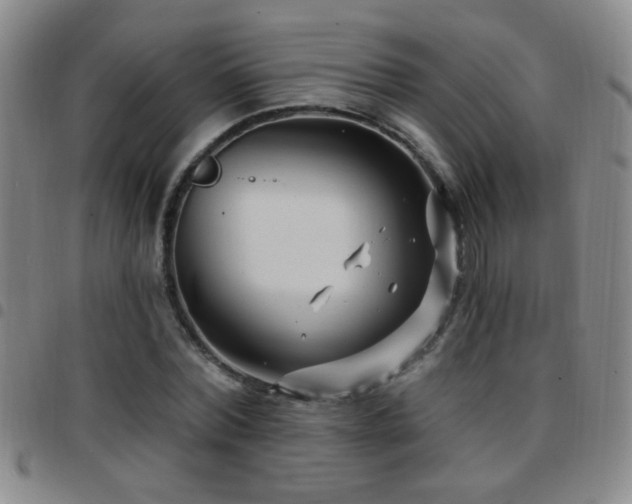 X0000097890780200803141332