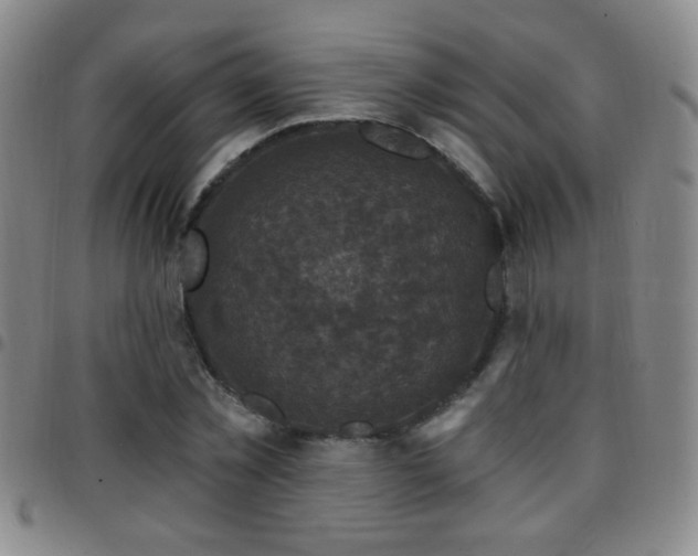 X0000097890781200803141332