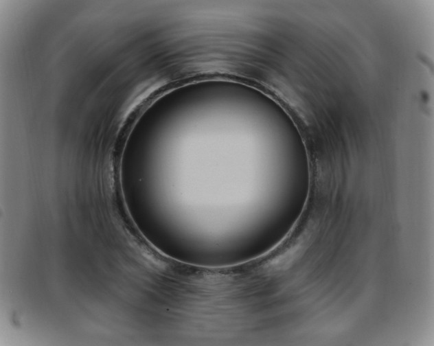 X0000097890782200803141332
