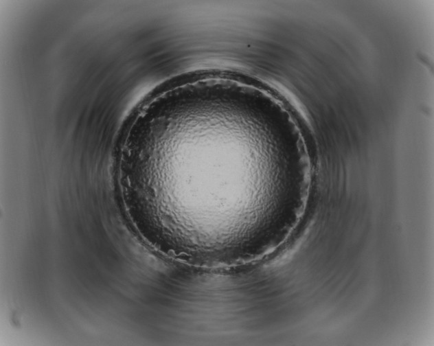 X0000097890783200803141332