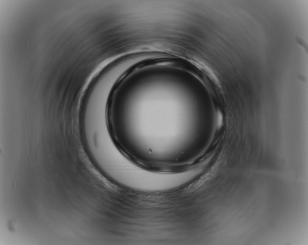 X0000097890784200803141332