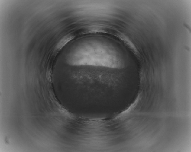 X0000097890785200803141332
