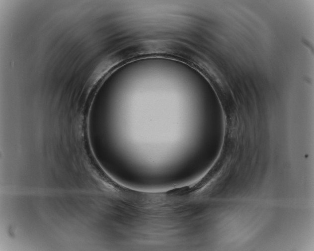X0000097890786200803141332