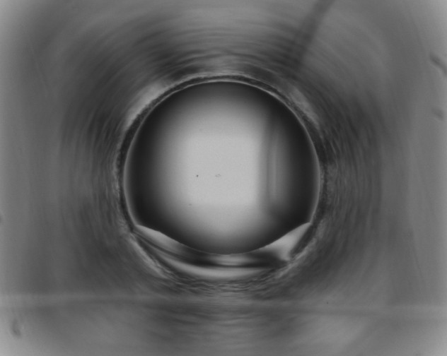 X0000097890789200803141332