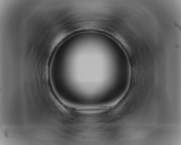 X0000097890791200803141332